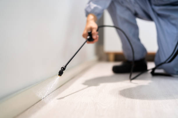 Licensed Cockroach Control service in West, TX - Nex Pest Control