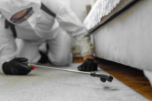 Professional Cockroach Control technician working in West, TX