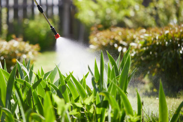 24/7 Emergency Cockroach Control experts in West, TX