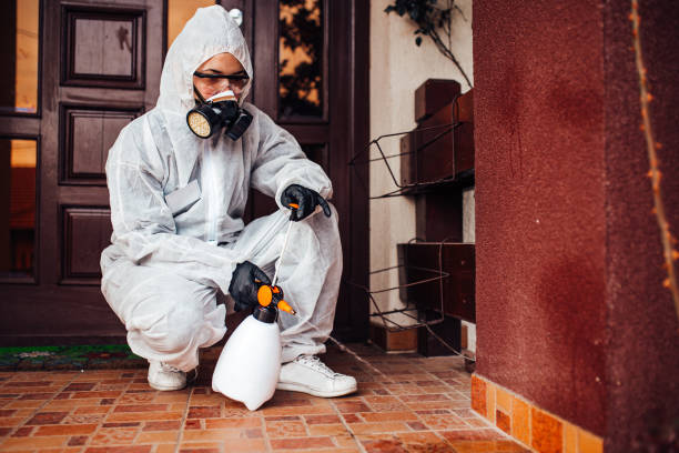 Reliable Cockroach Control contractor in West, TX by Nex Pest Control