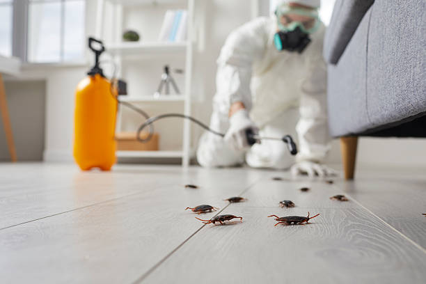 Affordable Cockroach Control solutions in West, TX